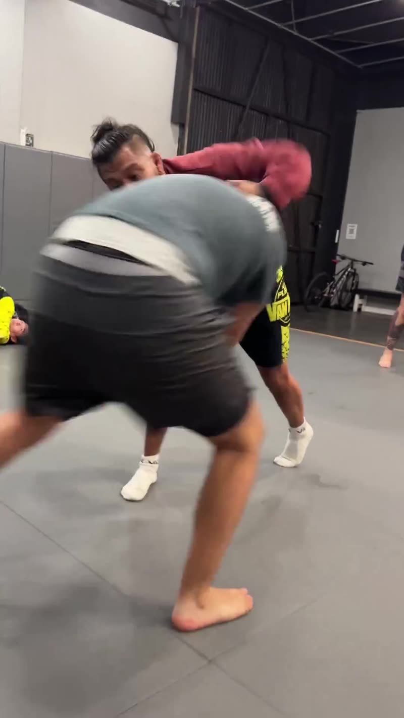 Adult no-gi jiu-jitsu training session